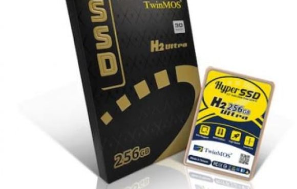 Twinmos_256gb SSD-500x638